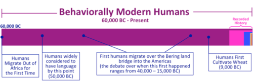 Human-prehistory-Timelines+342.png