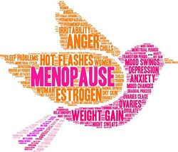 Menopause-word-cloud.jpeg