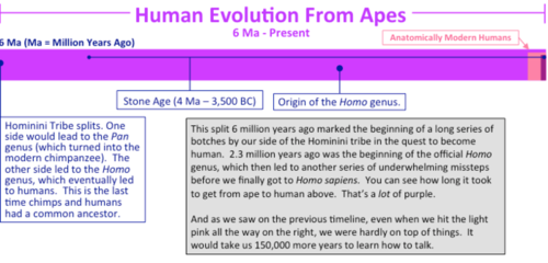 60-millions-human-prehistory-Timelines+342.png