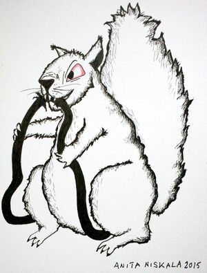 Squirrel-chewing-cable-by-anita-niskala.jpeg