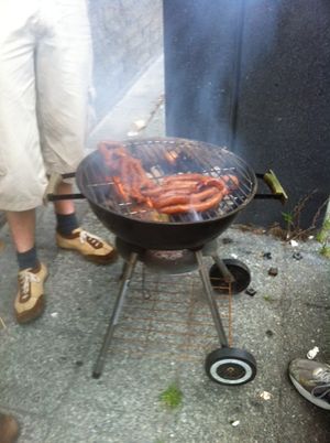 Bbq-8-may-2013-techinc.JPG